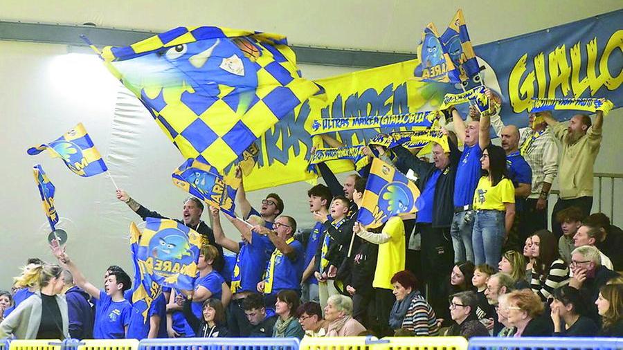 Sale l’attesa per il derby tra il Golfo e la Pielle La Marea gialloblù ci crede: «Giochiamocela»
