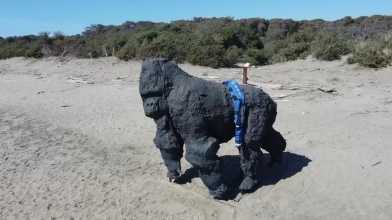 Il Gorilla in spiaggia (Foto di Enzo Russo)