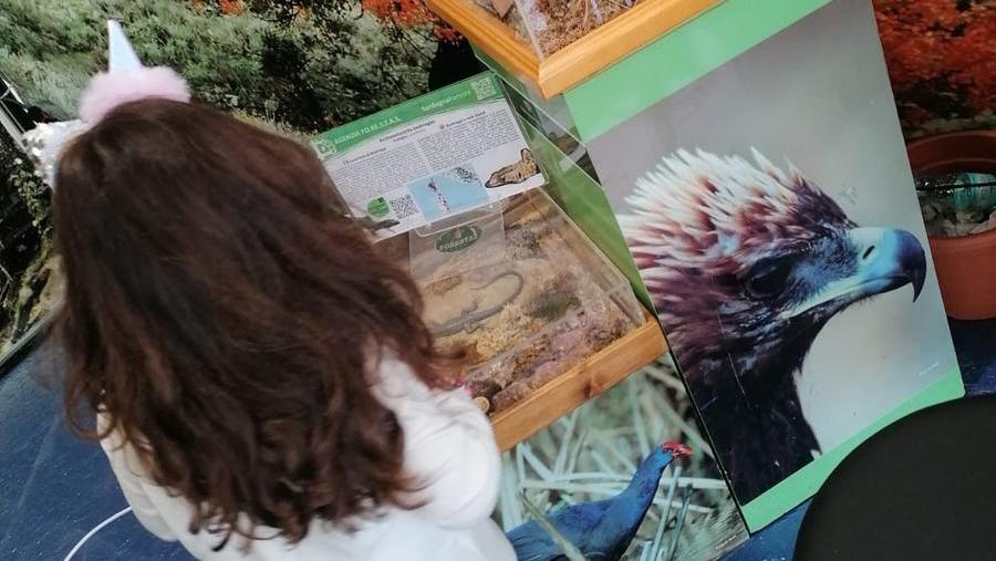 Olbia, la denuncia di una madre: «Mesi di attesa per un intervento alle tonsille. E mia figlia peggiora»