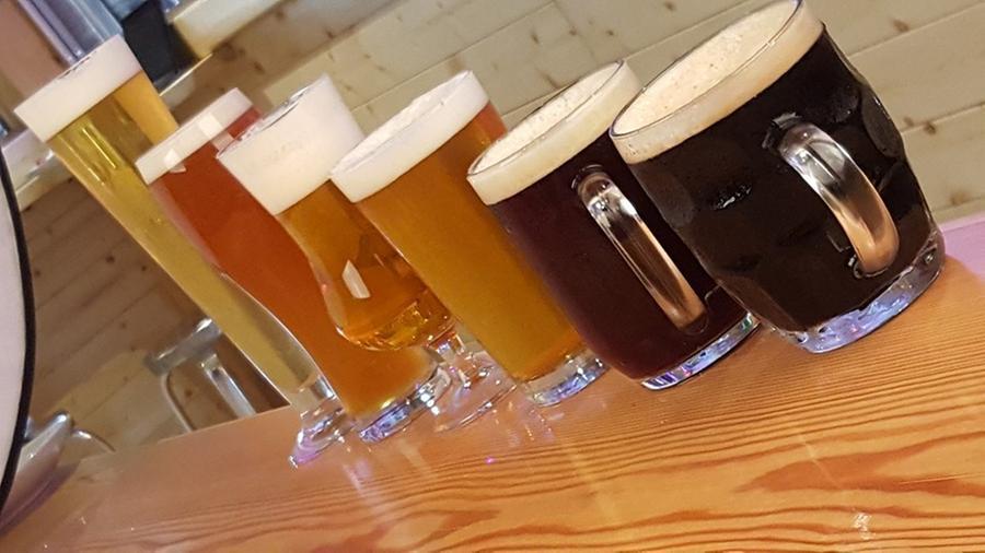 In Sardegna birra a fiumi: prodotti quasi 4 milioni di litri