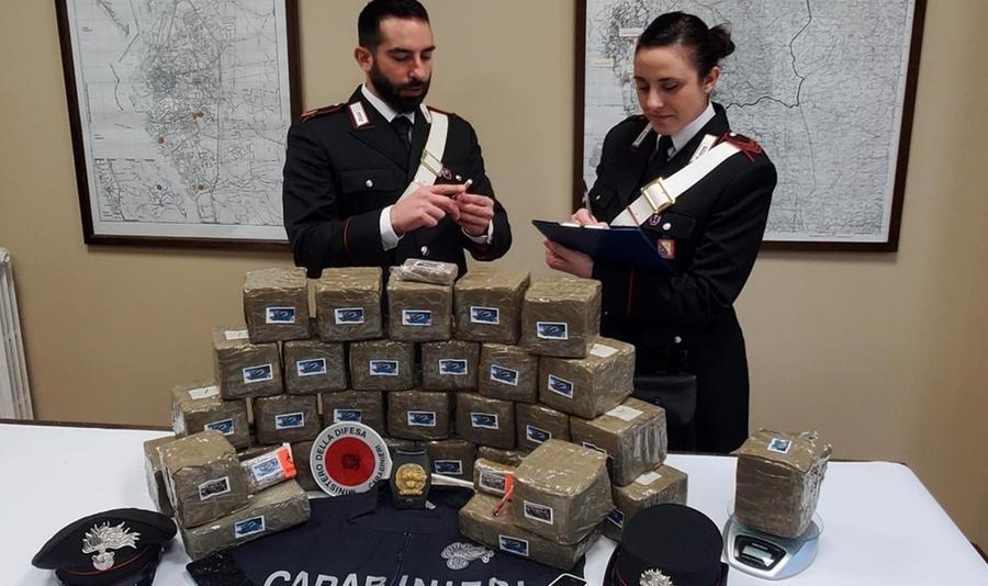 
	La droga sequestrata dai carabinieri

