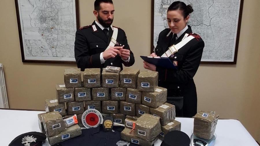 
	La droga sequestrata dai carabinieri

