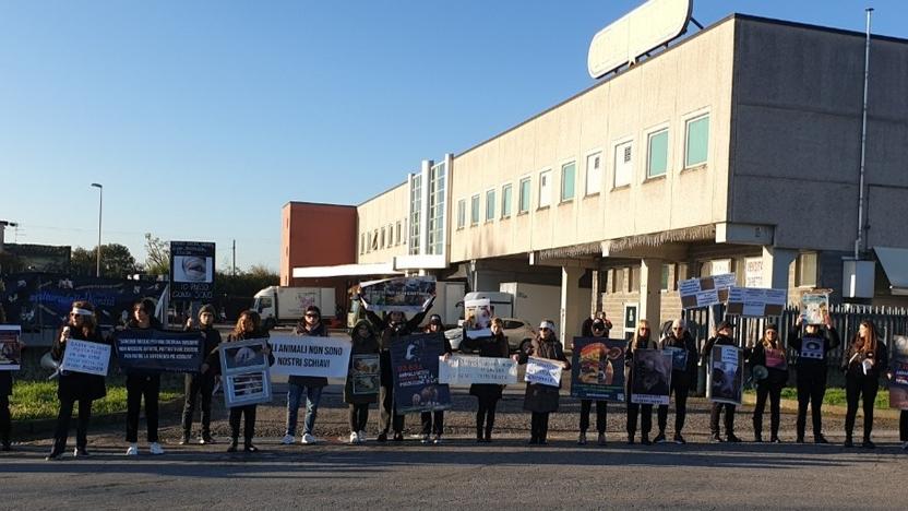Buggiano, protesta di cinquanta animalisti davanti alla Italpork