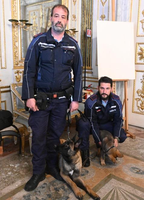 Lucca, vigili a quattro zampe: con Rey e Quark nasce l’unità cinofila