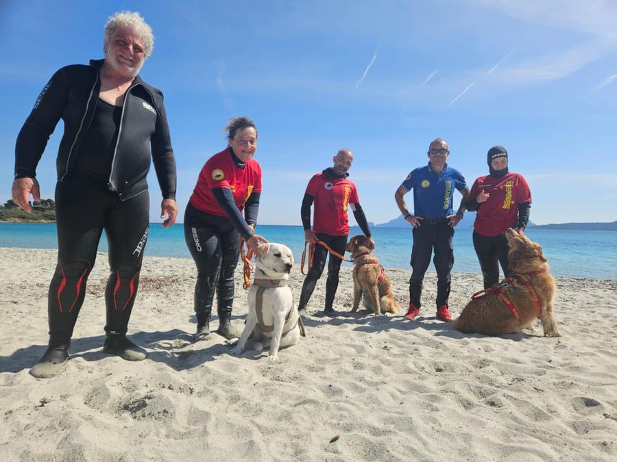 Olbia, spiagge più sicure con i cani bagnini