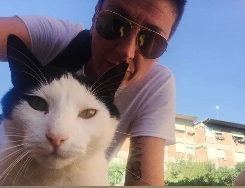 «Auto troppo veloci, ora è toccato ai gatti Ma sono sempre un pericolo per tutti»
