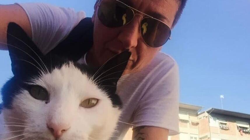 «Auto troppo veloci, ora è toccato ai gatti Ma sono sempre un pericolo per tutti»