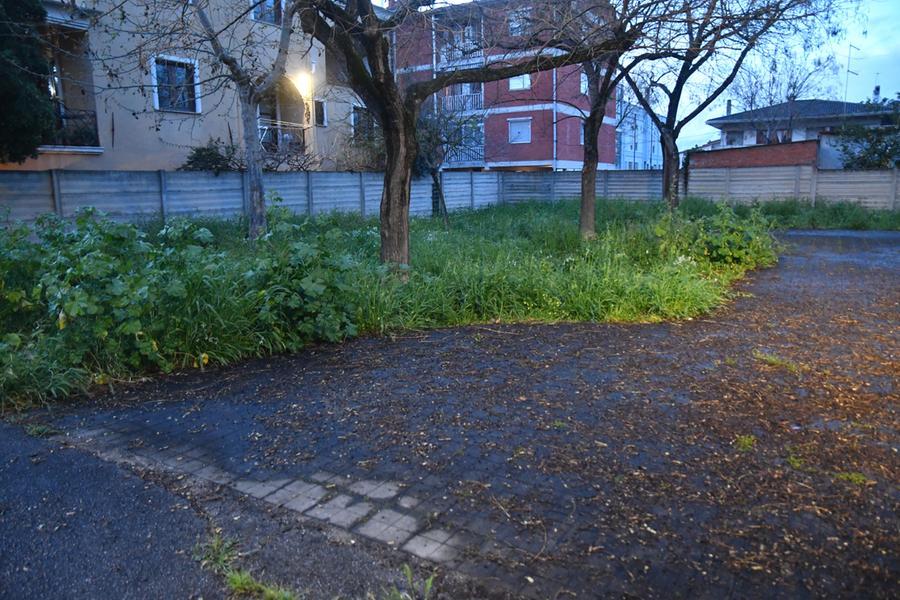 
	Verde pubblico in via Casula

