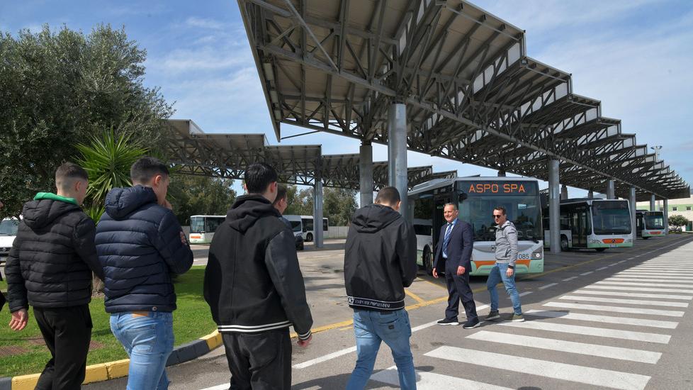 Aspo Olbia, non solo autobus: alla società comunale anche verde e turismo