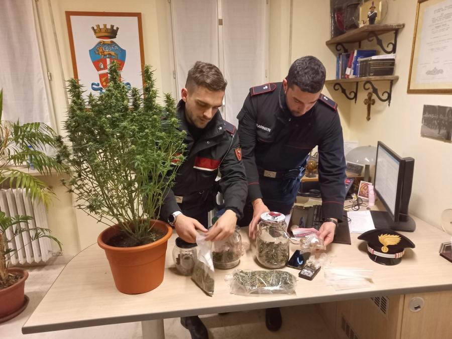 Villa Minozzo: in casa due etti di droga e una pianta di marijuana nell’armadio, arrestato