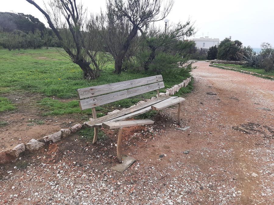 Livorno, panchina vandalizzata ad Antignano