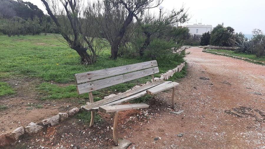 Livorno, panchina vandalizzata ad Antignano