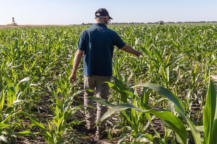 Ferrara, quale agricoltura sarà? Il clima impone la svolta