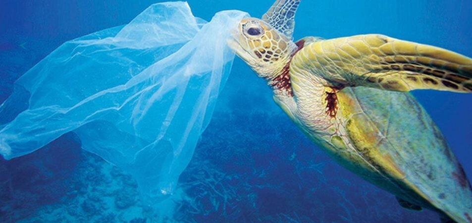 Se vedi plastica raccoglila: è il gesto che salverà il mare
