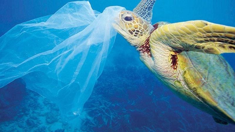 Se vedi plastica raccoglila: è il gesto che salverà il mare