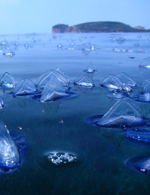 Biodiversità: per governi, aziende e individui è l’ora della responsabilità 