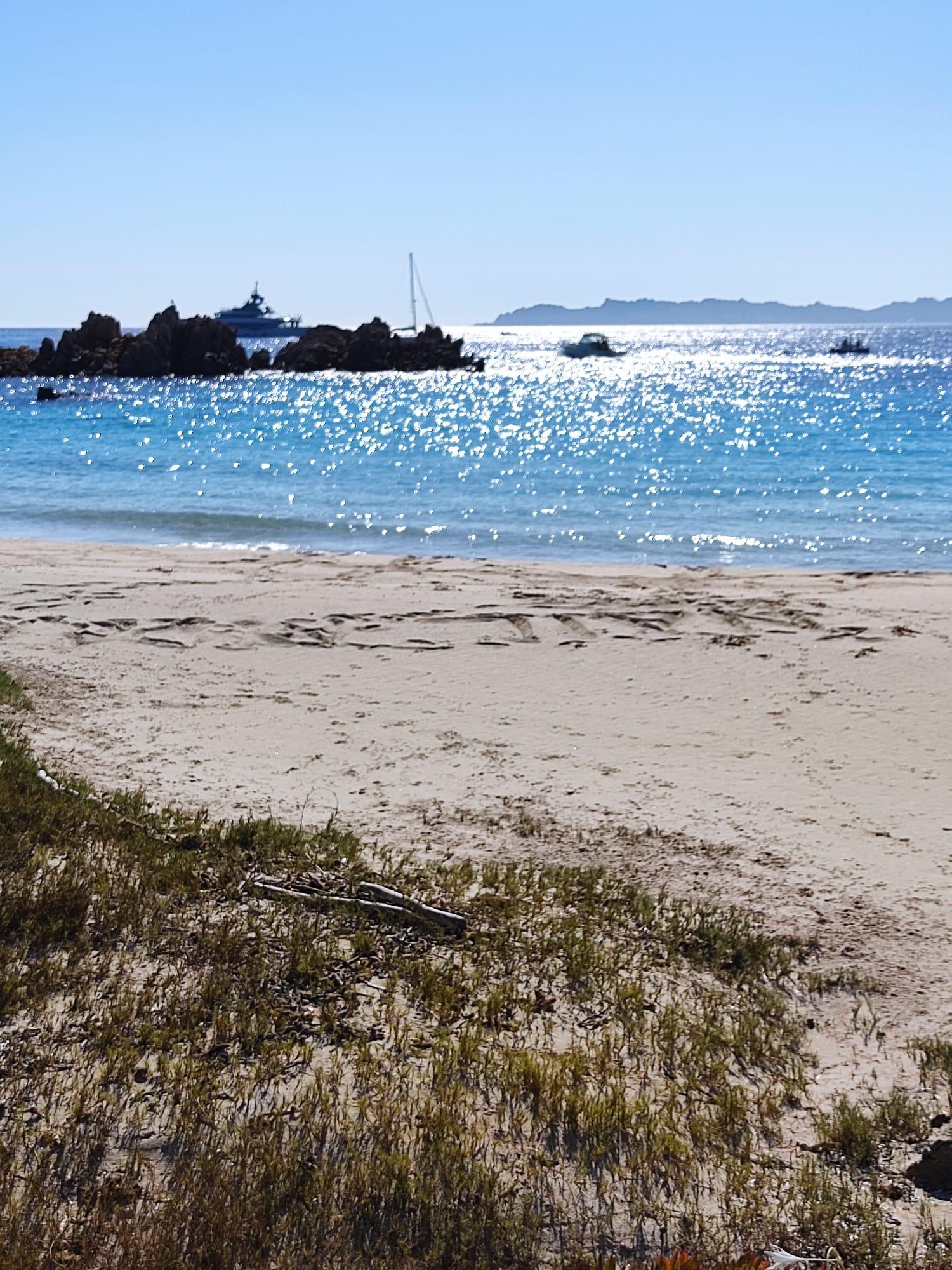 Basta depredare sabbia e conchiglie: sentiamoci come un parco 