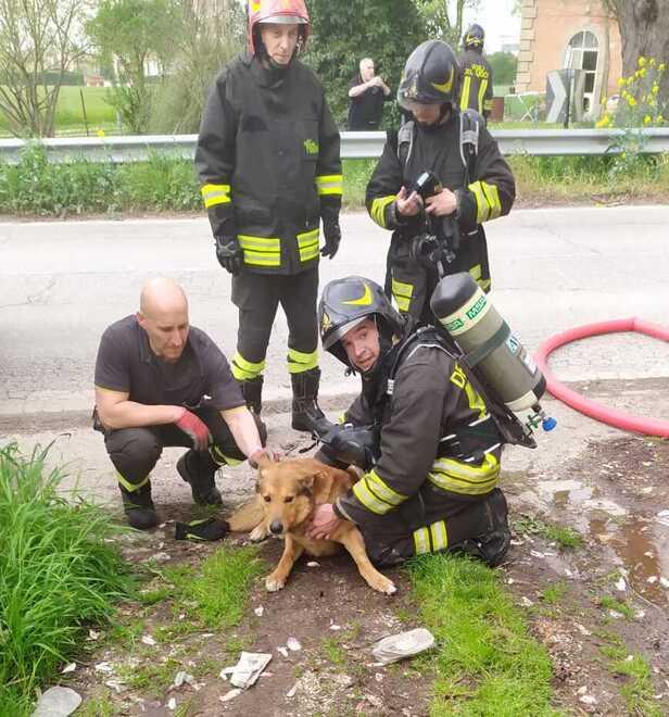 Casumaro, ex medico salvato dall’incendio
