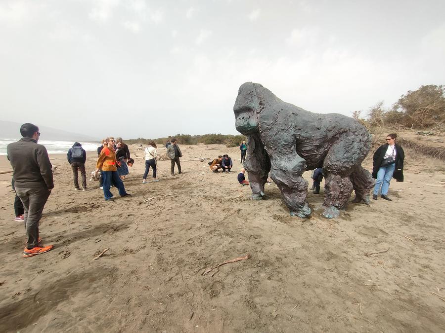 
	Il gorilla alla Feniglia

