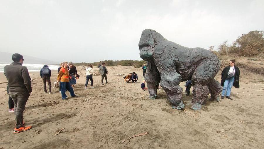 Il gorilla alla Feniglia