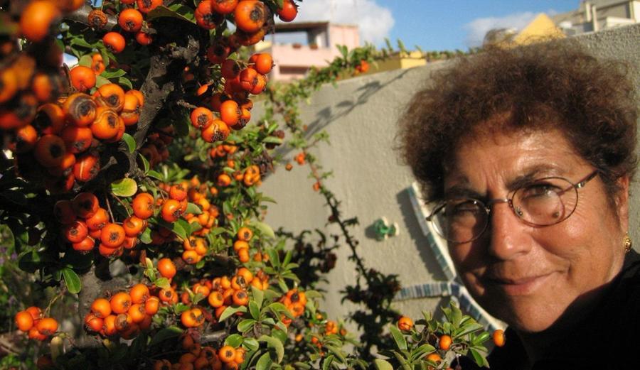 Il cordoglio del mondo politico per la scomparsa di Linetta Serri