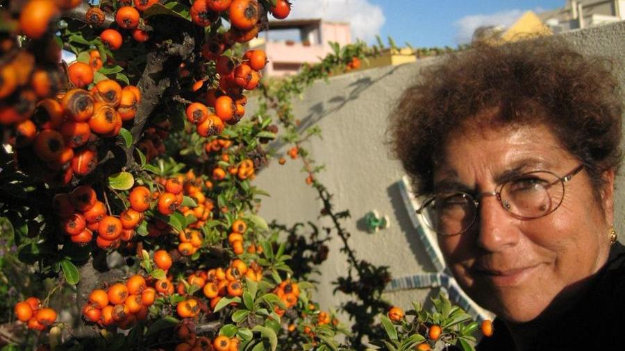 Il cordoglio del mondo politico per la scomparsa di Linetta Serri