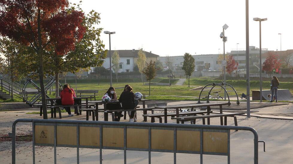 Monsummano, gatti scomparsi dalle colonie: è allarme bocconi avvelenati
