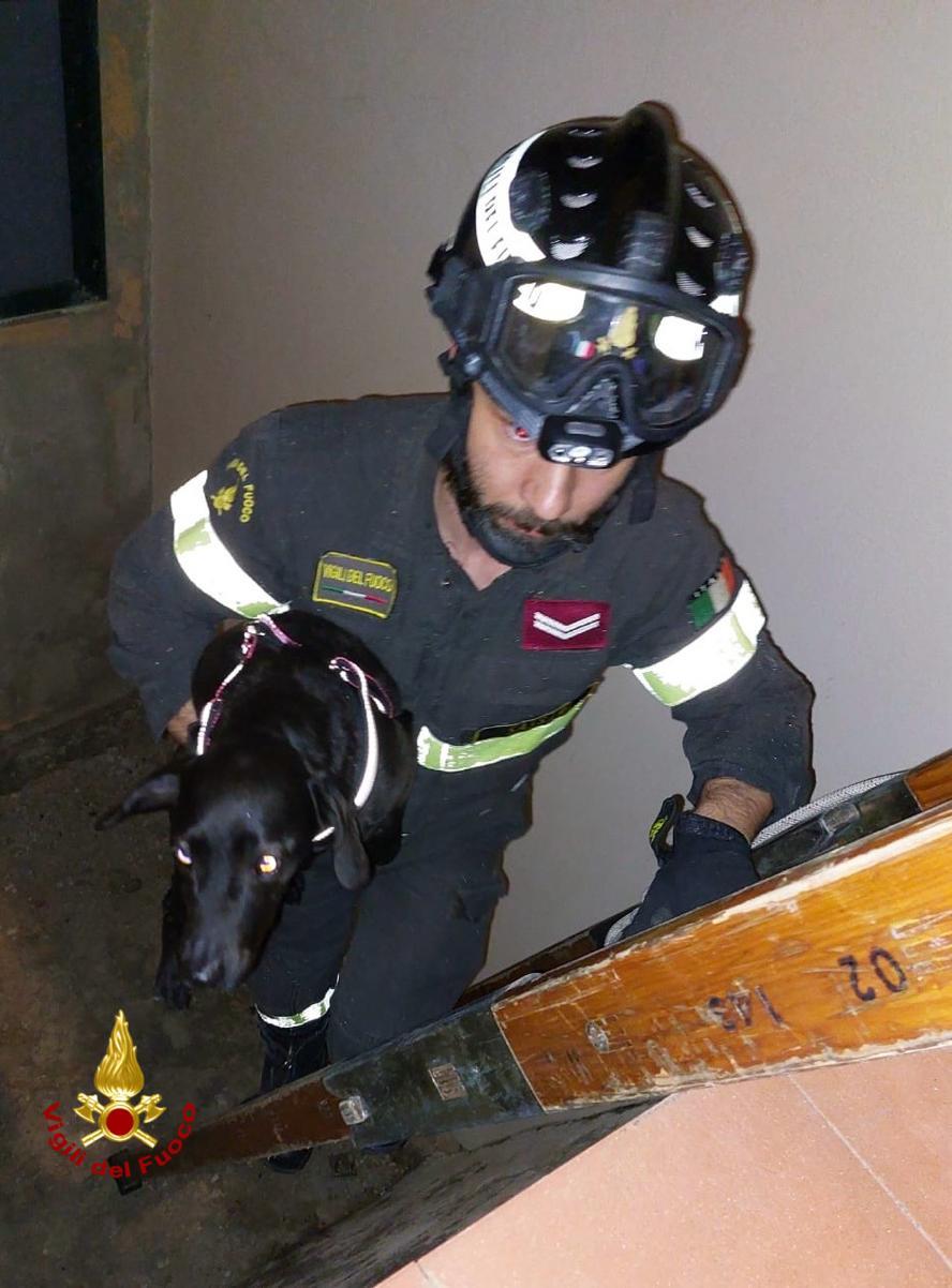 Alghero, cagnolino in difficoltà ai bastioni Marco Polo: lo salvano i vigili del fuoco