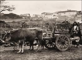 Raccontare la Sardegna: 9 cortometraggi di autori sardi in mostra ad Amburgo