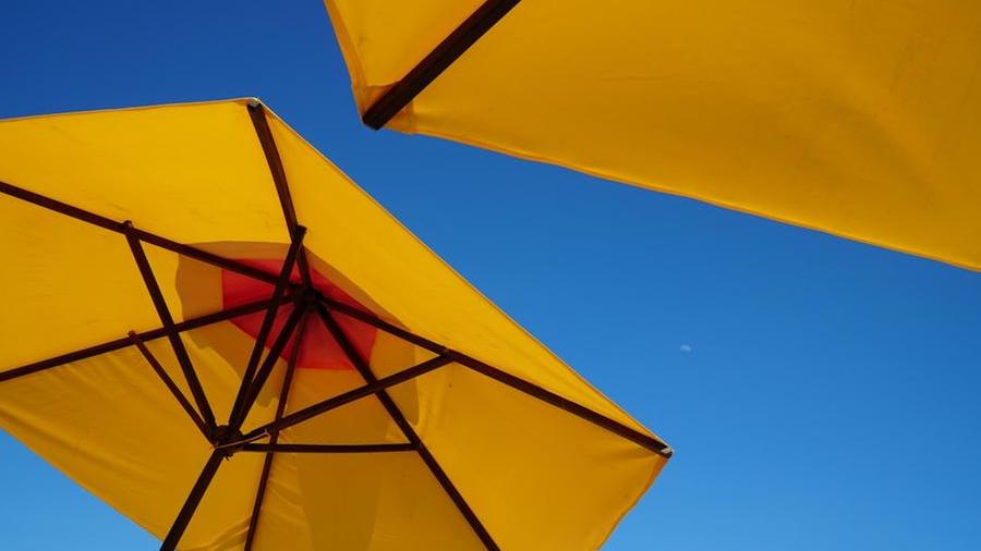 Meteo in Toscana, ecco il caldo anomalo: estate anticipata con temperature oltre 20 gradi