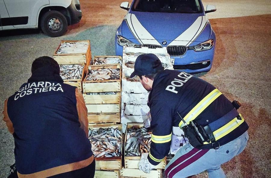 Al porto di Olbia la polizia sequestra 611 chili di pescato