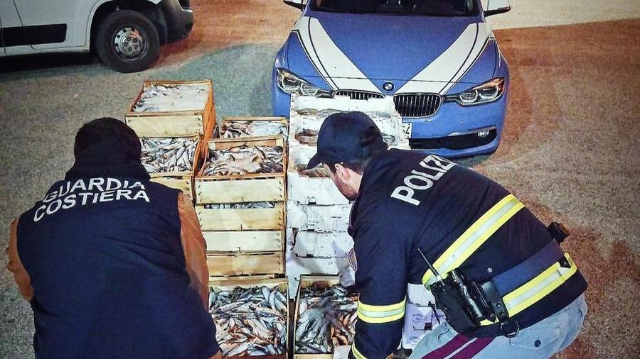 Al porto di Olbia la polizia sequestra 611 chili di pescato