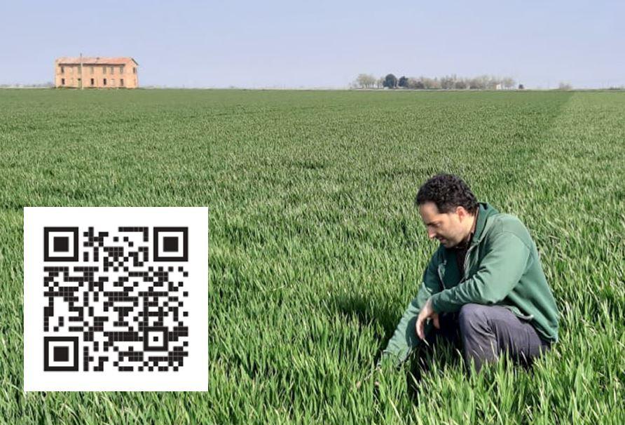 Agrifuturo, forum Sae a Ferrara