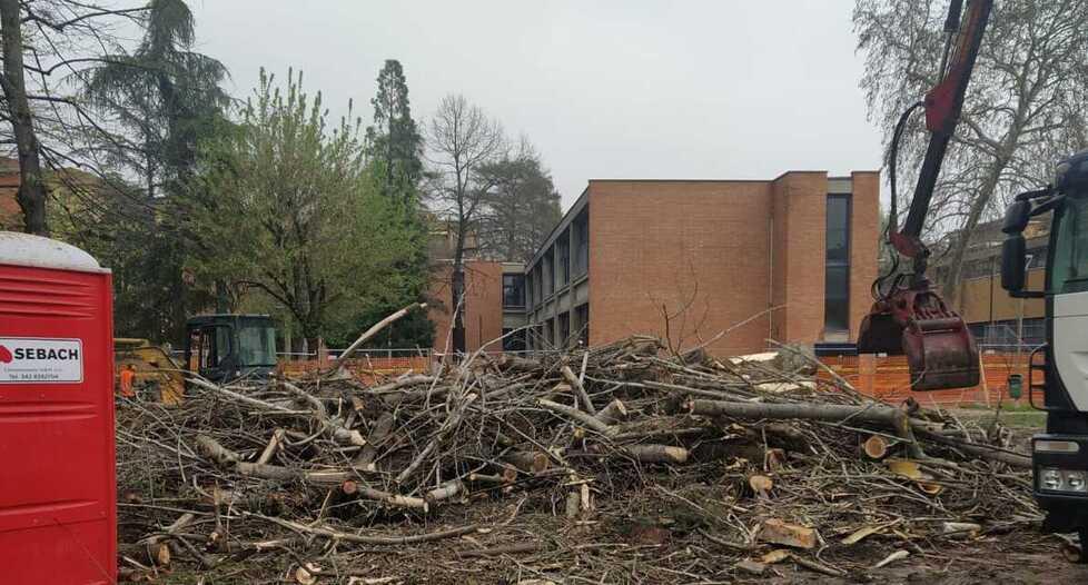 Modena, il cantiere alle scuole Leopardi fa arrabbiare i genitori: «Alberi tutti abbattuti»