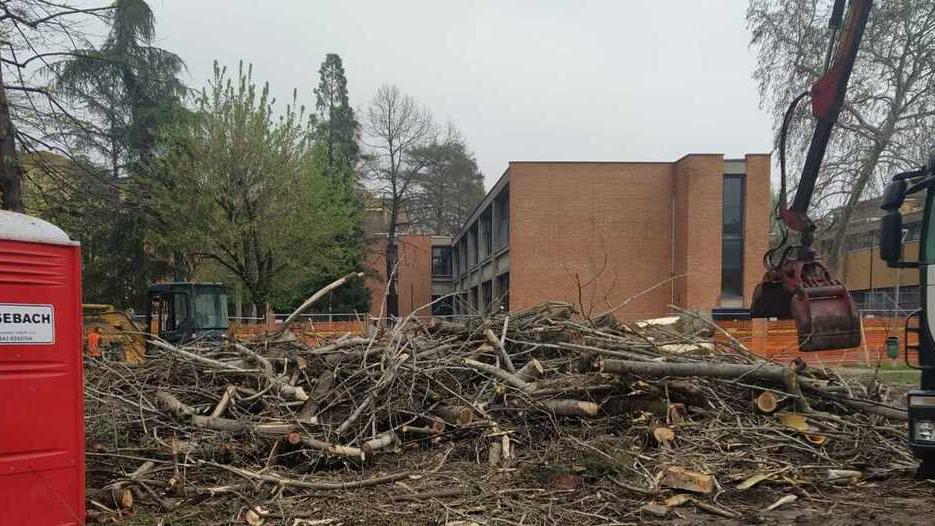Modena, il cantiere alle scuole Leopardi fa arrabbiare i genitori: «Alberi tutti abbattuti»