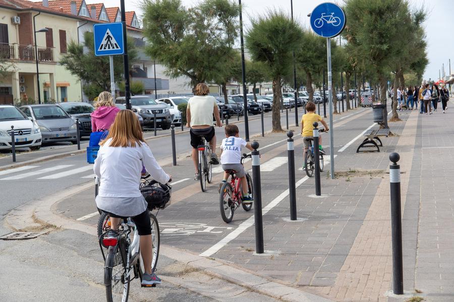 Cani aggressivi a Porto Garibaldi, gli abitanti: “Bisogna intervenire”