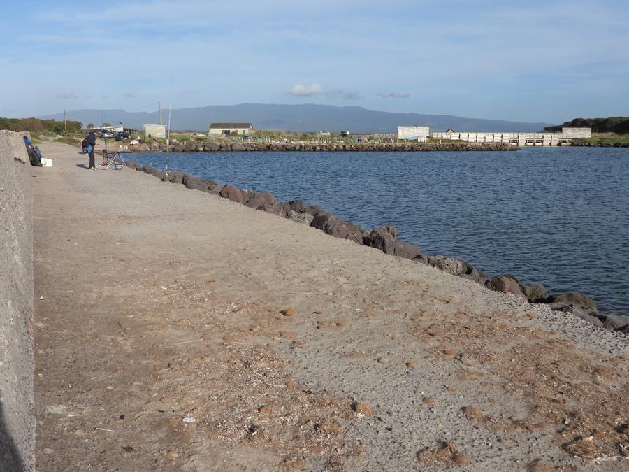 
	L'area di Foxi davanti allo stagno di S'ena arrubia dove potrebbe sorgere il porticciolo di Arborea

