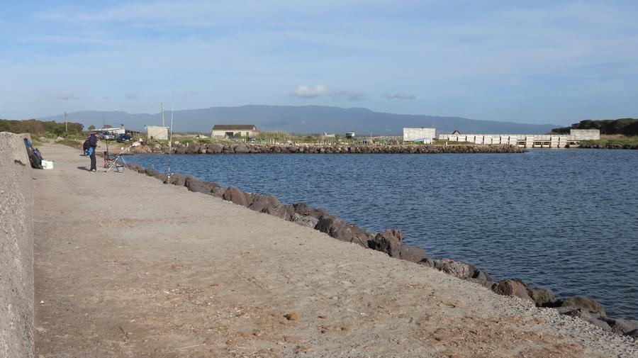 L'area di Foxi davanti allo stagno di S'ena arrubia dove potrebbe sorgere il porticciolo di Arborea