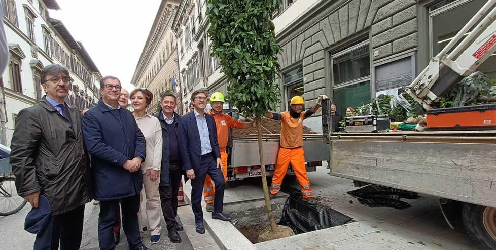 La piantumazione di uno dei primi aranci in via Cavour alla presenza tra gli altri del sindaco Dario Nardella e dell’assessore Stefano Giorgetti