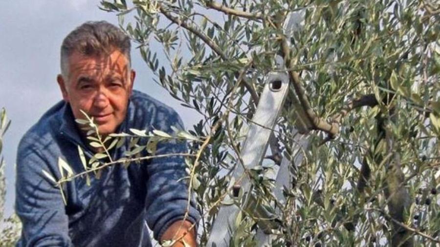 
	Bianchi, 68 anni, manda avanti un&rsquo;oliveta di 20 ettari

