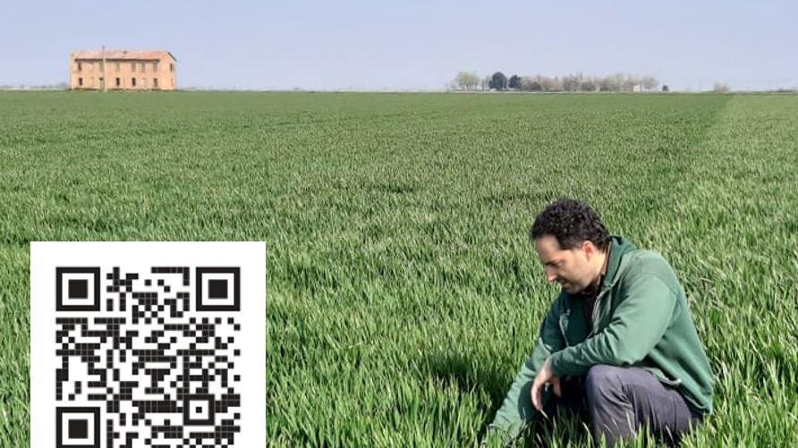 Agrifuturo, il ministro Francesco Lollobrigida al convegno del Gruppo Sae a Ferrara