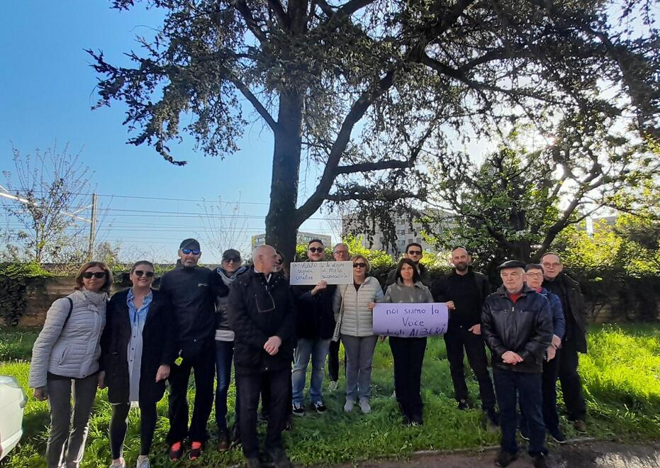 Alberi “salvati” in via Fogliani I cittadini organizzano la petizione 