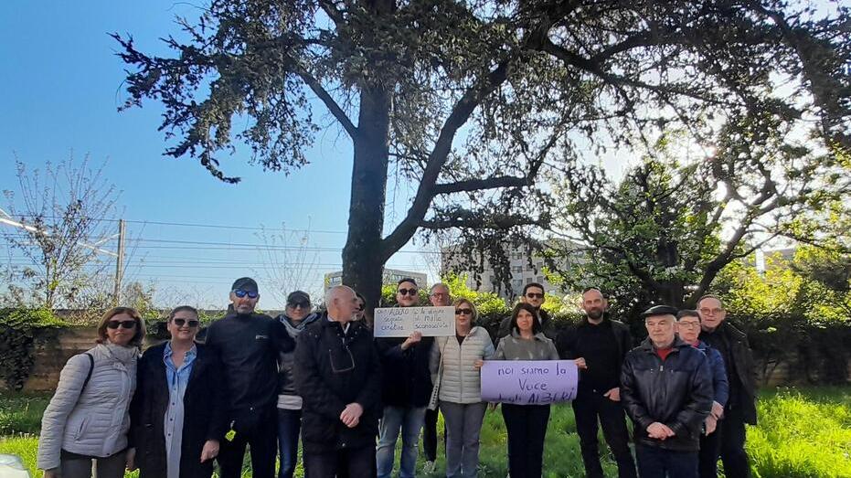 Alberi “salvati” in via Fogliani I cittadini organizzano la petizione