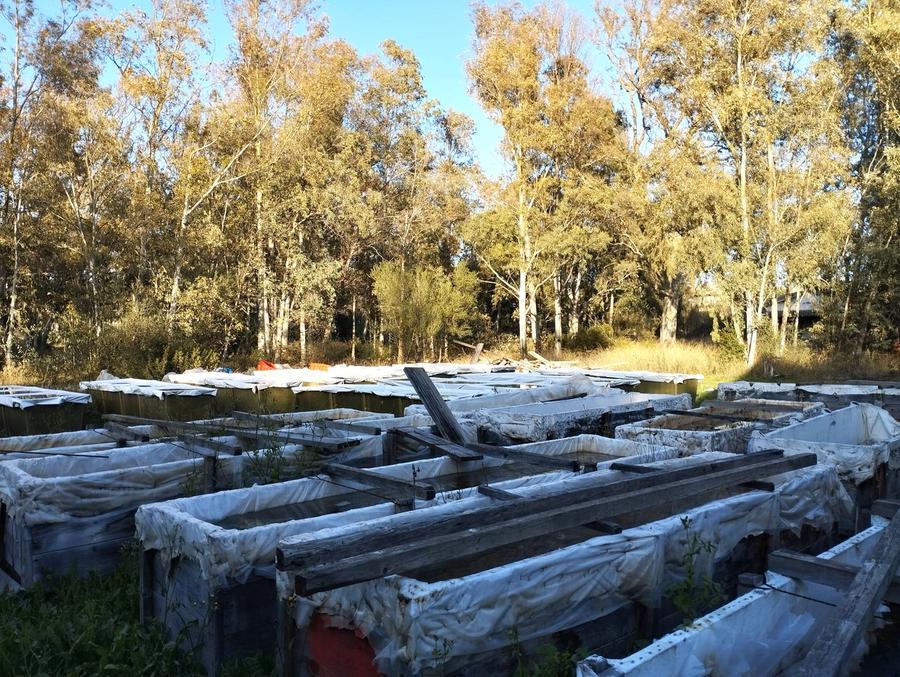 
	Le navi romane abbandonate nell'ex Artiglieria

