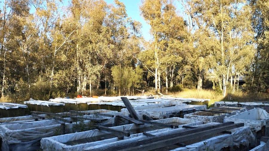 Le navi romane abbandonate nell'ex Artiglieria