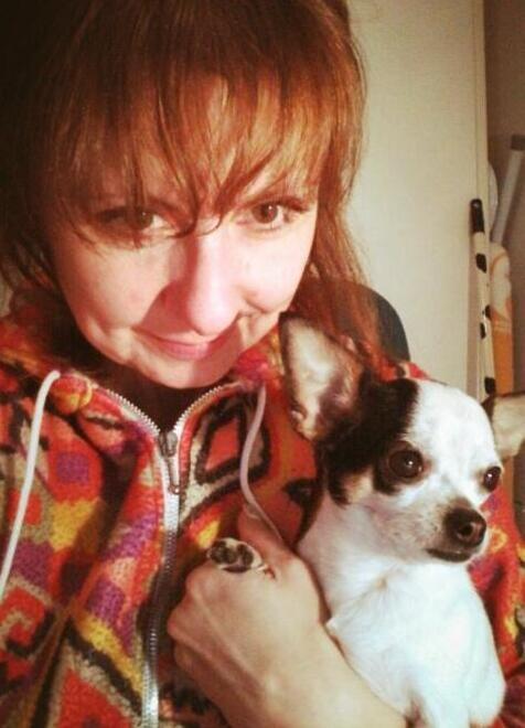 «Due pit bull hanno rotto la rete e sbranato la mia chihuahua»