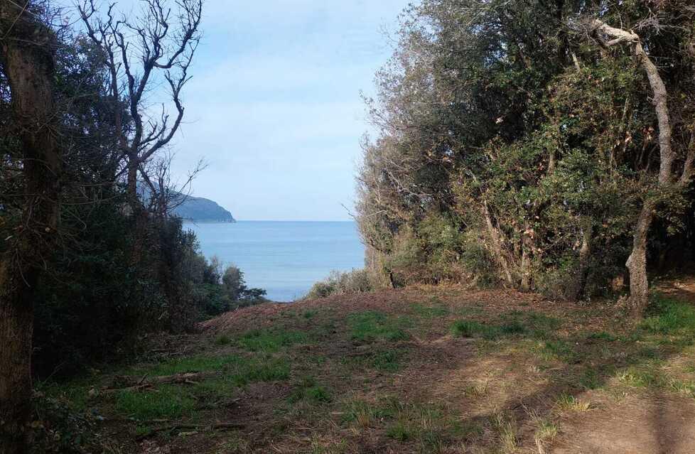 L’area del corridoio a mare davanti a Casa Esagono venutosi a creare dopo il taglio non autorizzato della vegetazione pre-esistente