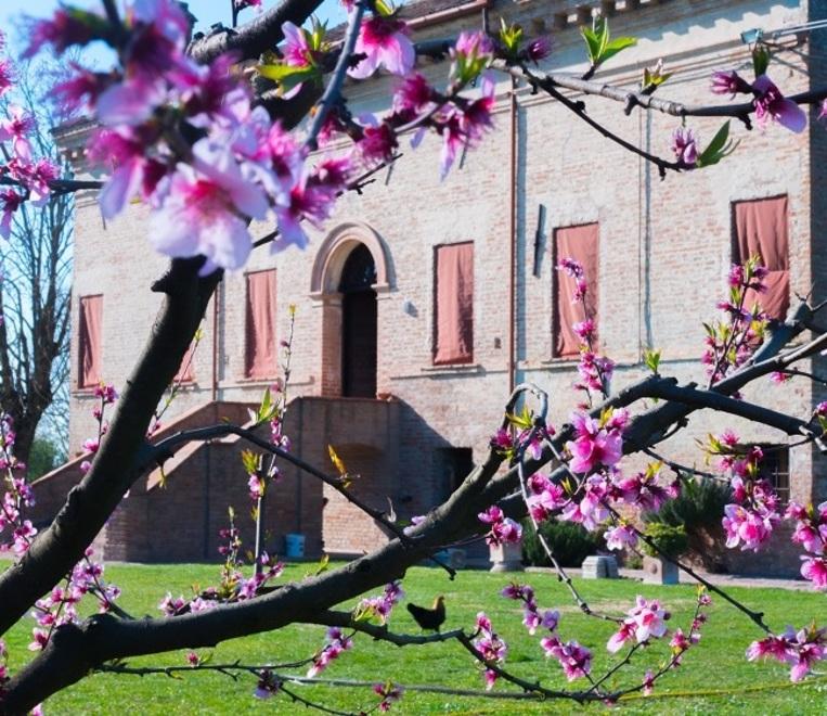 Esterno Verde a Ferrara, bellezza oltre le mura: «Così scopriamo paesini e frazioni»
