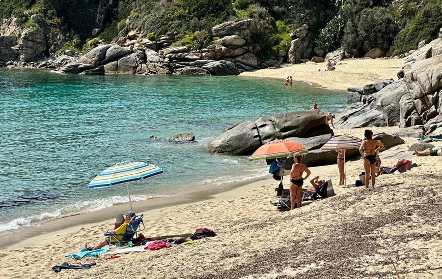 
	Elba, la spiaggia di Cavoli (foto Gi&ograve; Di Stefano)

