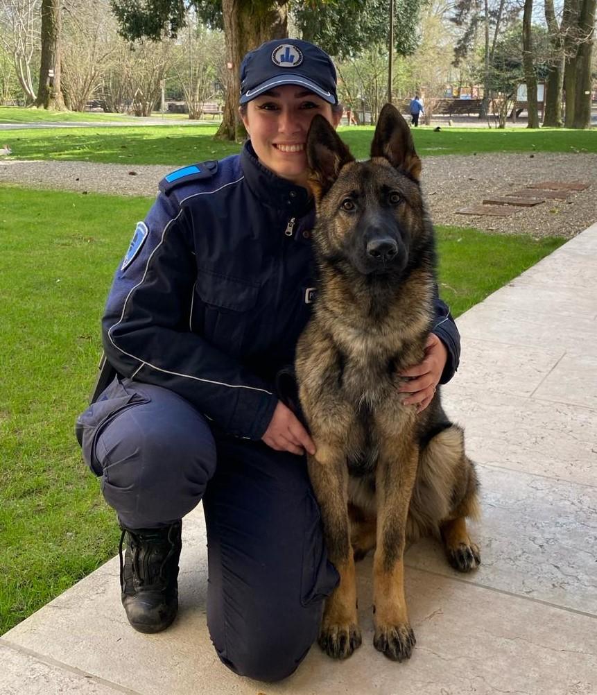 Ecco Argo il cane della polizia locale della Bassa reggiana